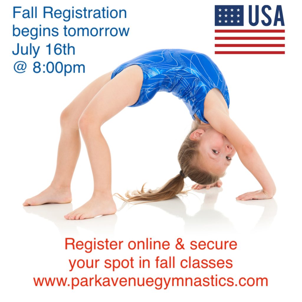 Park Avenue Gymnastics South Florida's Premier Gymnastics Facility