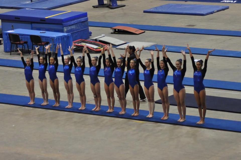 Team